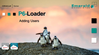 Easier User Administration in P6 for LDAP and SSO - Adding Users with P6-Loader Webinar - 2025-10-16
